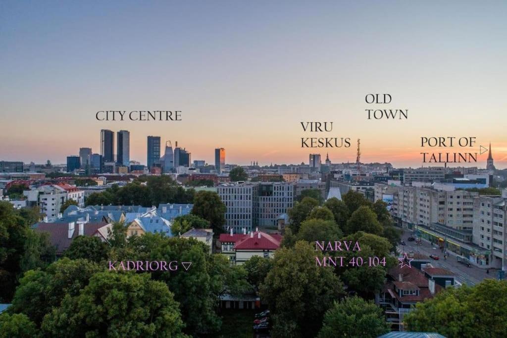 Urban-Glam City Centre Studio With A Gym And Terrace Tallinn Dış mekan fotoğraf