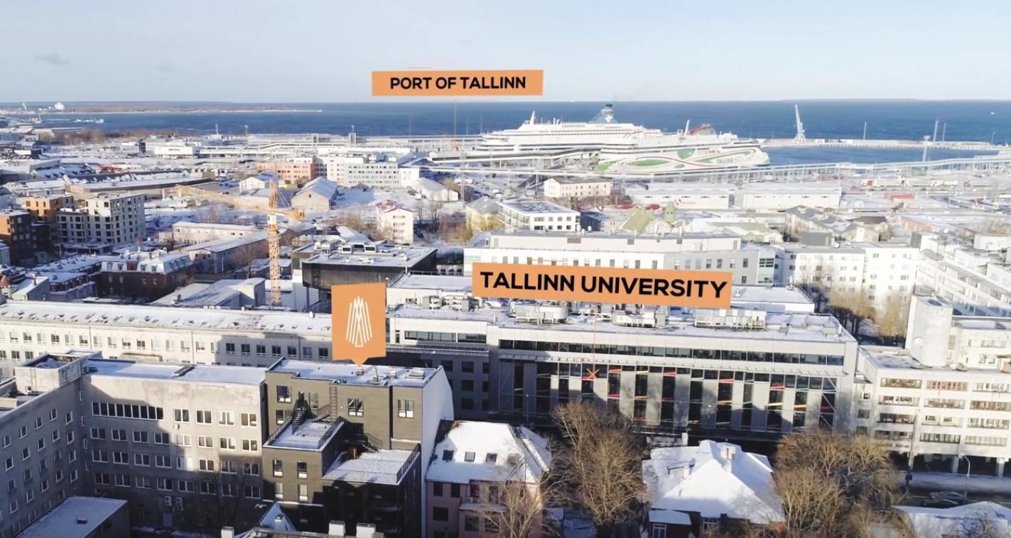 Urban-Glam City Centre Studio With A Gym And Terrace Tallinn Dış mekan fotoğraf